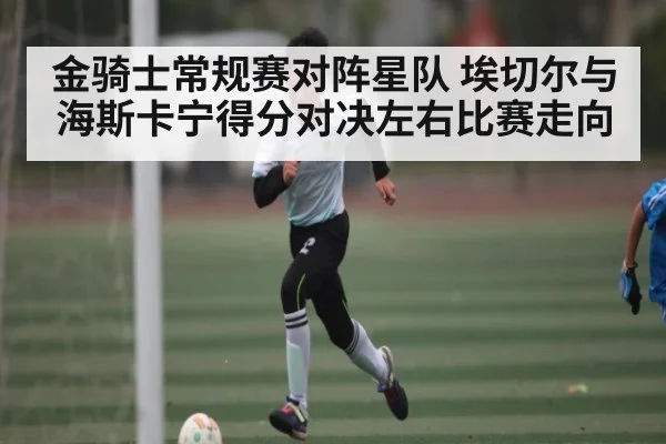 金骑士常规赛对阵星队 埃切尔与海斯卡宁得分对决左右比赛走向